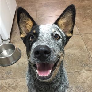 Meet your Posher, Brandie